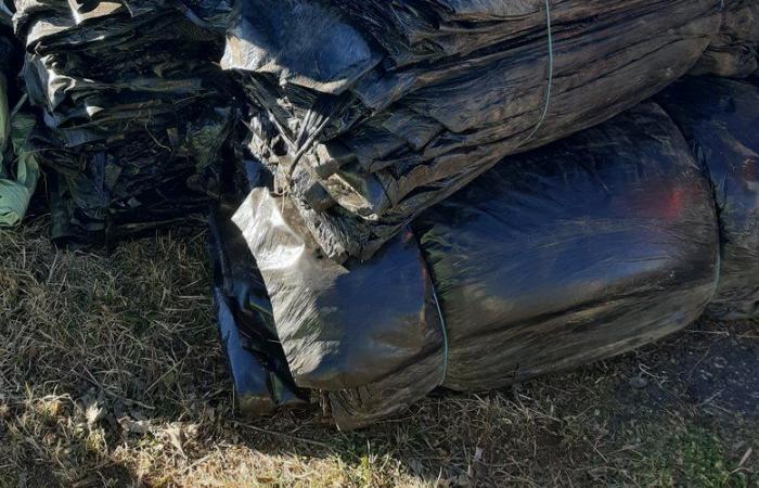 Winter collection of agricultural plastics in Lozère: instructions for use