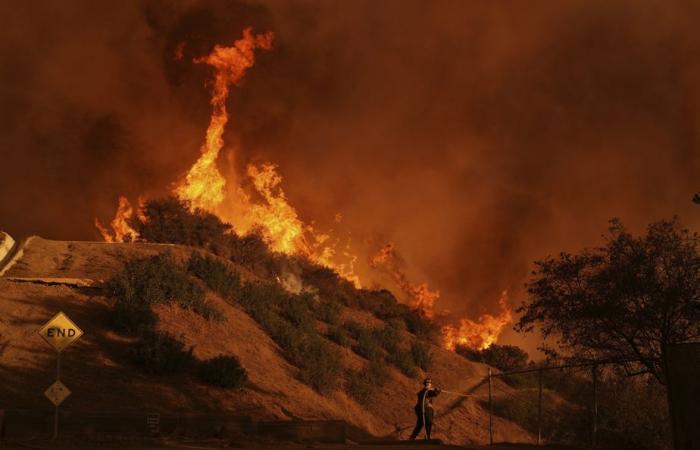 Los Angeles Fire Management | Democrats respond to Trump’s accusations of ‘incompetence’