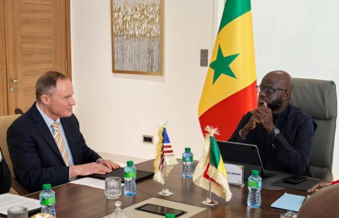 The United States Ambassador to Senegal received by the President of the Assembly, Mr. El Malick Ndiaye (photos)