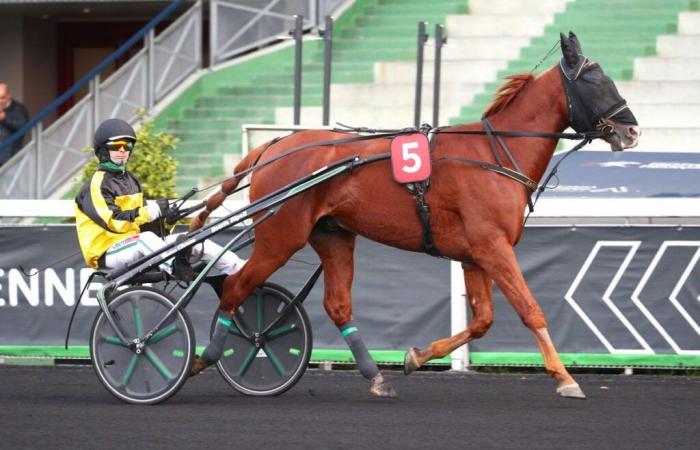 Jango Vici returns to Vincennes on Sunday