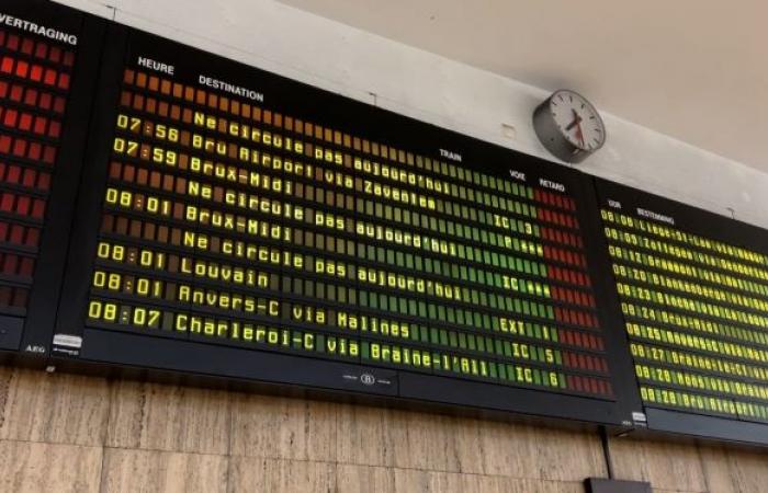 National strike: thousands of demonstrators expected in Brussels, all flights from Charleroi canceled