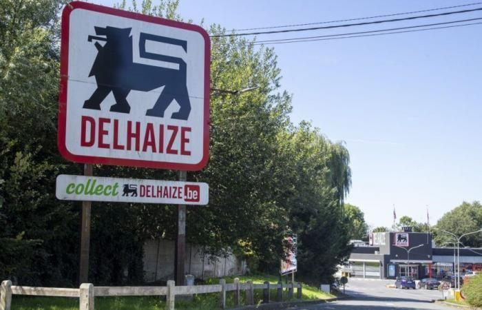 Delhaize announces the acquisition of 325 Louis Delhaize stores