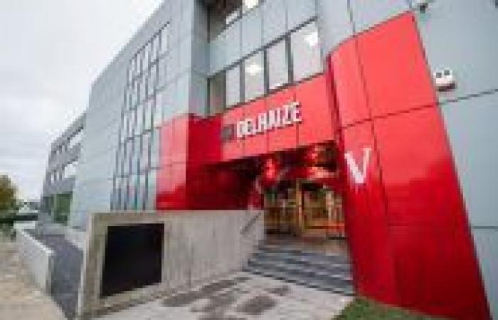 Delhaize acquires 325 convenience stores from Louis Delhaize