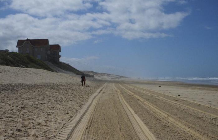 Landes. Several accesses to the beaches of Biscarrosse are closing, here is the reason