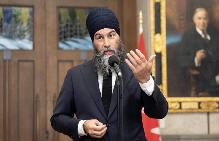 Threats from Donald Trump | Singh suggests stopping exporting critical minerals to the United States