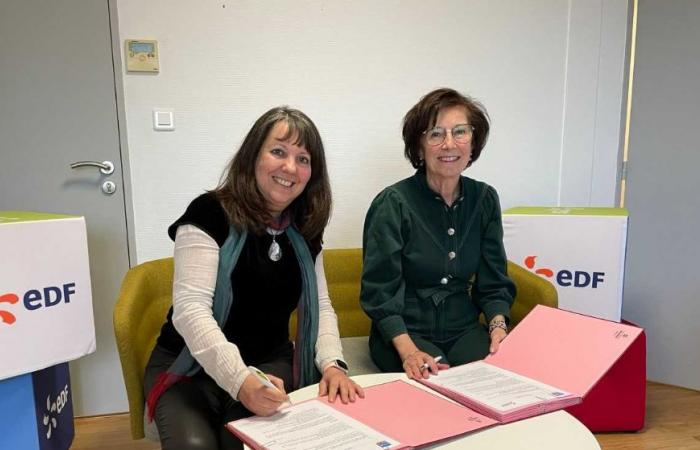 A promising partnership: EDF and the Côte-d’Or Cancer League join forces