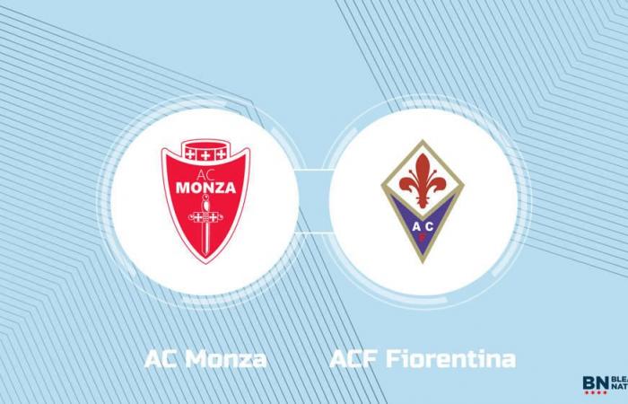 Where to Watch AC Monza vs. ACF Fiorentina: TV Channel, Start Time and Live Stream