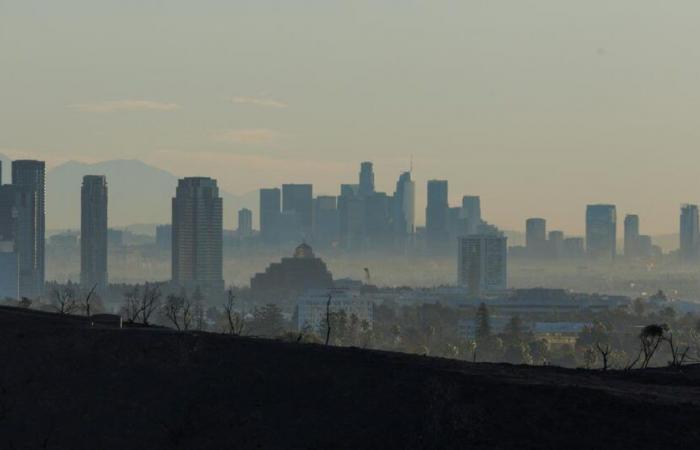 939 California inmates released to become firefighters and fight fires