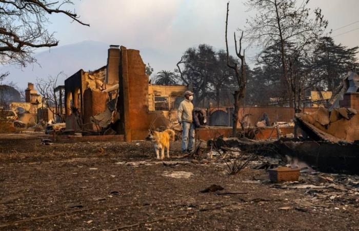 Reporting on Wildfires Again Through Grief, Community and Skepticism