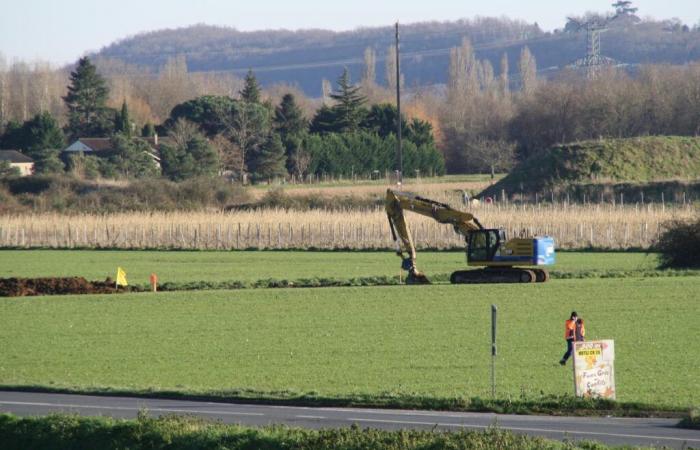 Why did the Dordogne Peasant Confederation stop an excavation site?