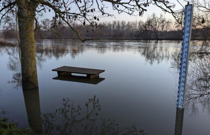 With the floods in Caen, memories of 2001 resurface for Christine and Anne-Marie