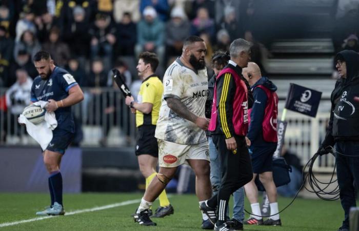 XV of France: Reda Wardi withdraws from the Blues rally, Uini Atonio must take exams – South West