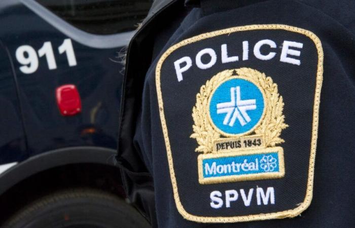 “Little shit”: an SPVM police officer suspended for his insults towards a criminalized teenager