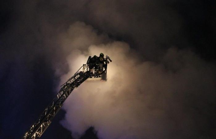 17 horses die in serious fire at breeding farm, owner sustains burns in attempt to save top animals (Waasmunster)