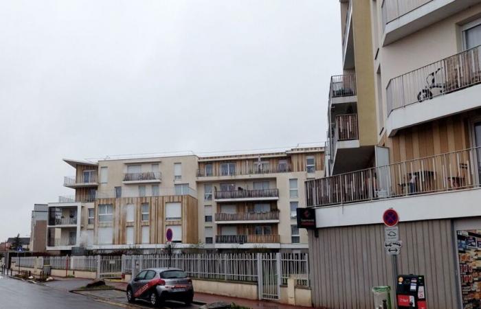 Fratricide in Vaires-sur-Marne: the eldest, 23, sentenced to two years in prison for manslaughter