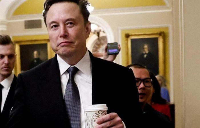 Elon Musk in talks to buy TikTok, Bloomberg reports