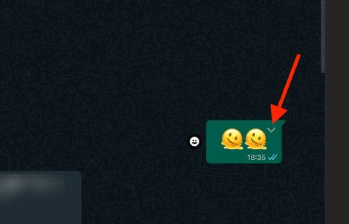 WhatsApp tutorial: how to check the exact reading time of a message