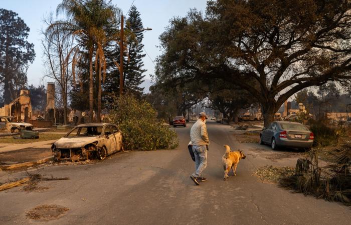 Reporting on Wildfires Again Through Grief, Community and Skepticism