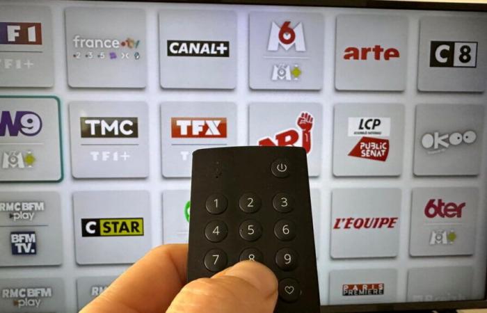 France 4 instead of Canal +, LCP/Public Senate replaces C8… The new channel numbering revealed