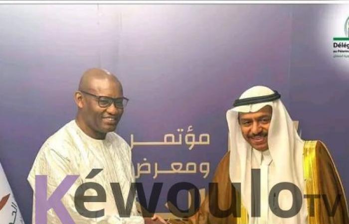 Senegal strengthens its cooperation with Saudi Arabia