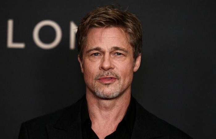 How Anne, 53, was cheated out of 830,000 euros by a fake Brad Pitt