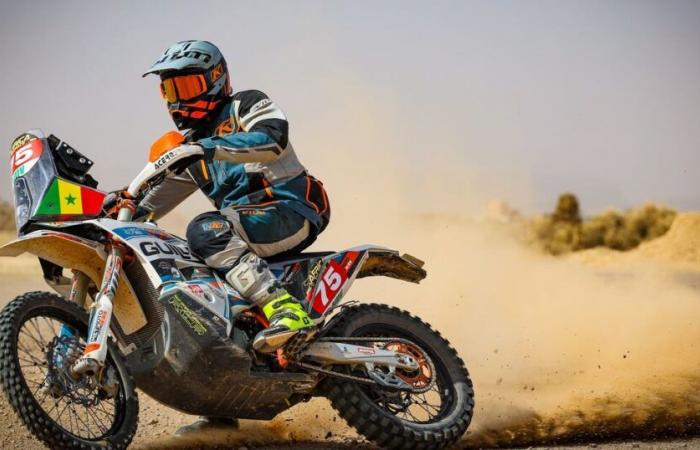 Africa Eco Race 2025: Guillaume Borne and Guillem Martinez Boronat fly the colors of Morocco and Senegal