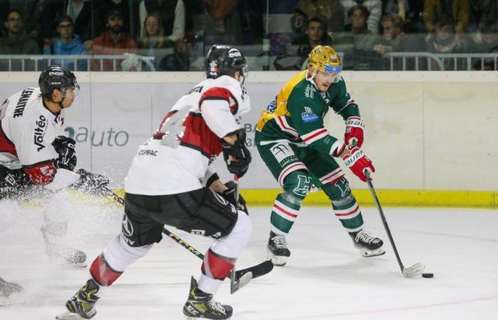 Boxers in a hurry before the duel against Anglet