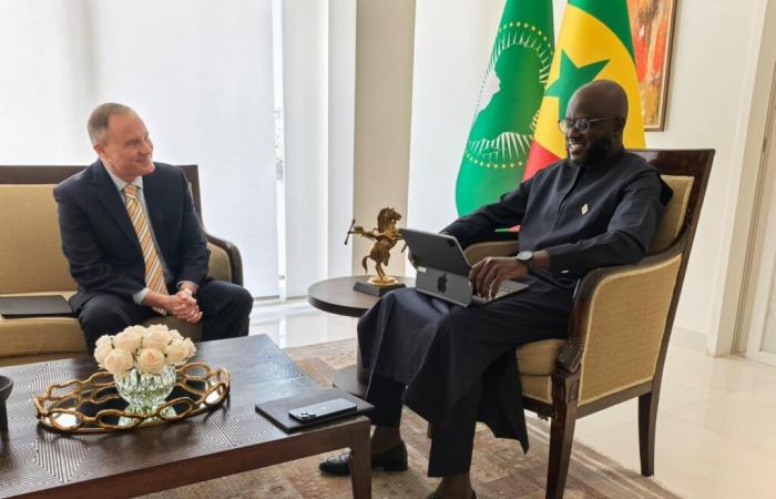 The United States Ambassador to Senegal received by the President of the Assembly, Mr. El Malick Ndiaye (photos)