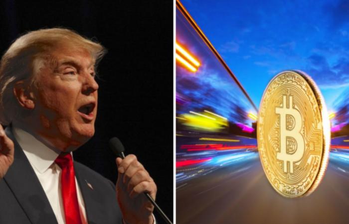 Congressman who wanted to name an airport after Trump buys Bitcoin, Solana and XRP tokens before the inauguration