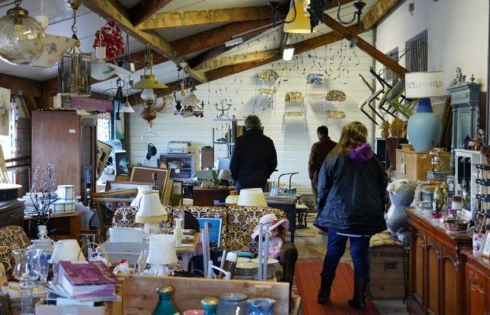 Discover the garage sale store in Bordeaux Lac: Tout Jour