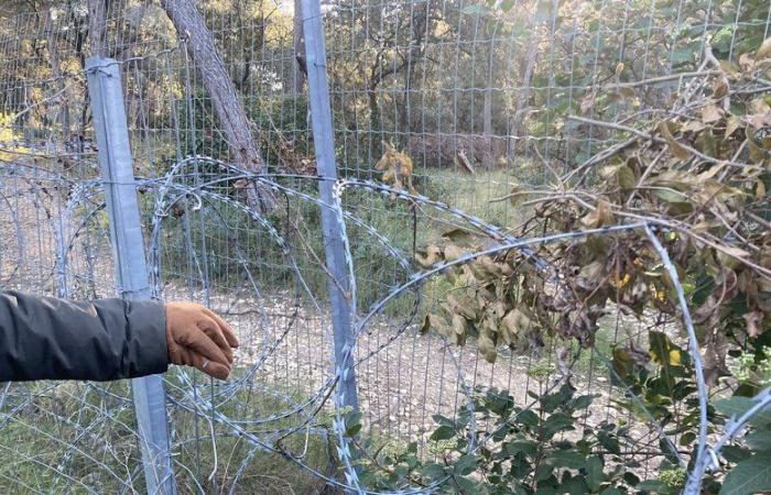 “I saw men having sex”: the insecurity of the Vergèze fitness trail, where the jogger was attacked, told by local residents