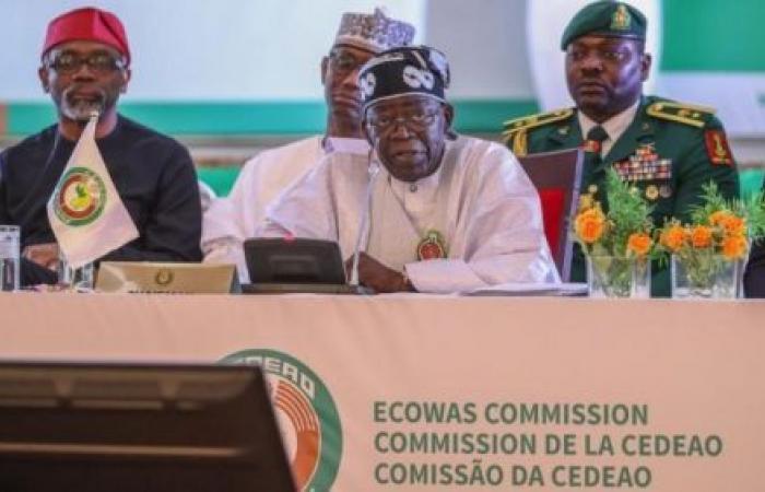 ECOWAS condemns “heinous” attacks in northern Benin