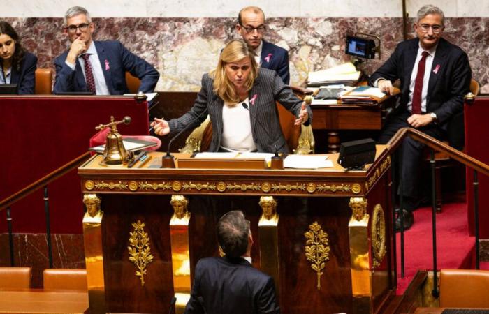 fever has seized the National Assembly – Libération