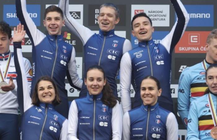 Cycling. Cyclo-cross – Worlds – The selection of the French Team for Liévin