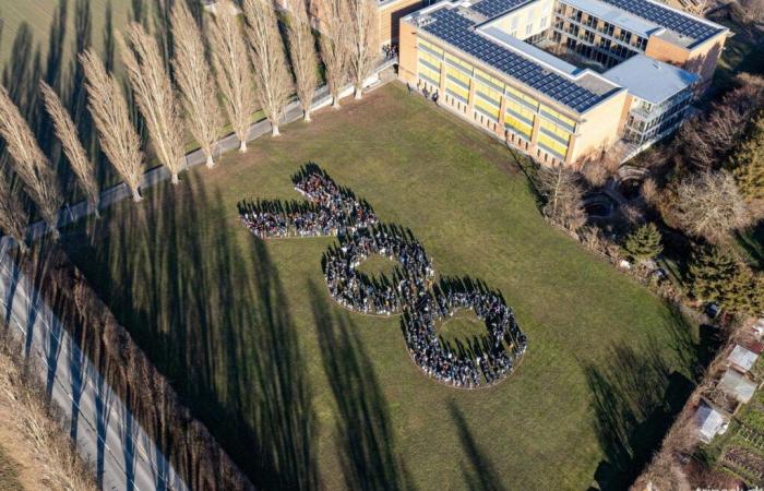 Festivities all year round for the 700th anniversary of Landeron