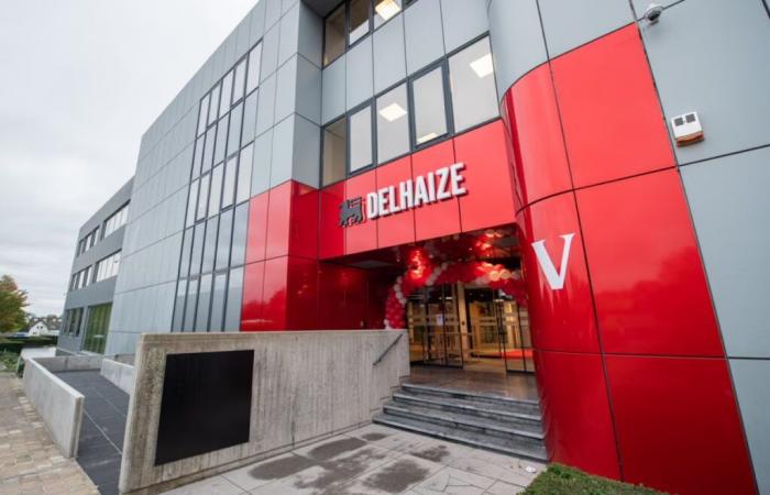 Delhaize acquires 325 convenience stores from Louis Delhaize