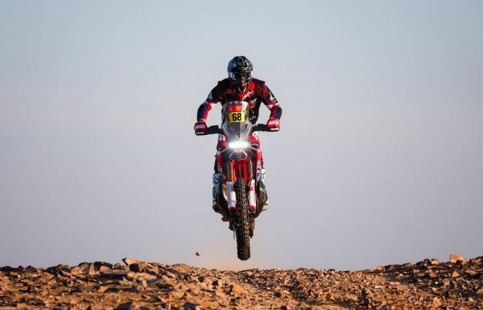 Henk Lategan recaptures the Dakar in main!