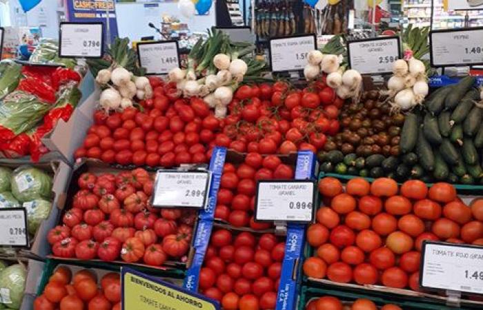 Morocco, leading exporter of fruits and vegetables to Spain