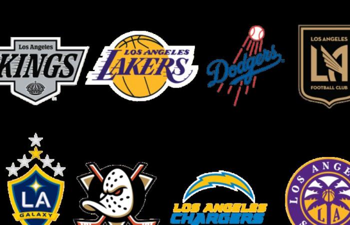 Twelve Los Angeles Sports Teams Unite to Donate in Support of Those Impacted by LA Fires