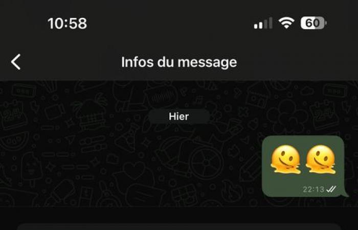 WhatsApp tutorial: how to check the exact reading time of a message