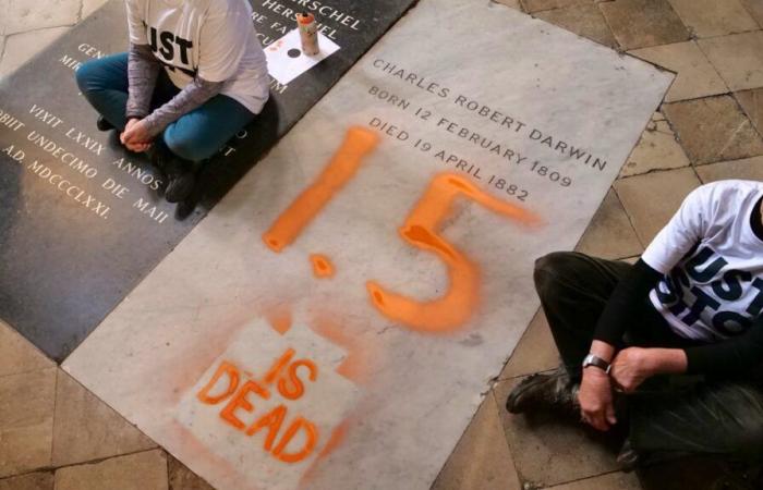 Environmentalists attack Darwin's grave in Westminster