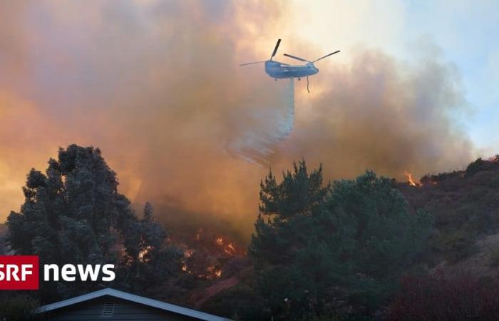 Forest fires on the US West Coast – 24 dead in fires in Los Angeles – concerns about new winds – News