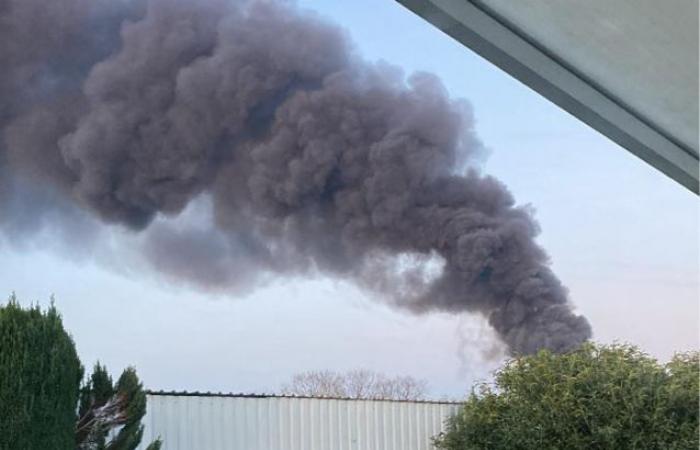 Serious fire in industrial zone in Arendonk: plume of smoke visible from afar (Arendonk)