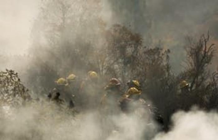 LA fires latest: Firefighters to face 70mph winds pushing ‘explosive fire growth’ as death toll climbs to 24