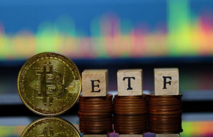 Looking for Bitcoin exposure with downside protection? There is now an ETF for that (CORRECTED)