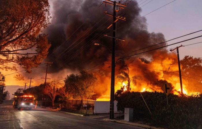 Incredible images of a villa that miraculously resisted the flames