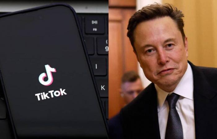 Elon Musk reportedly in talks to buy TikTok