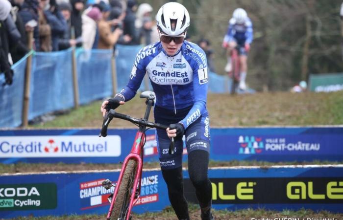 CC – Hoogerheide: The French selection – News