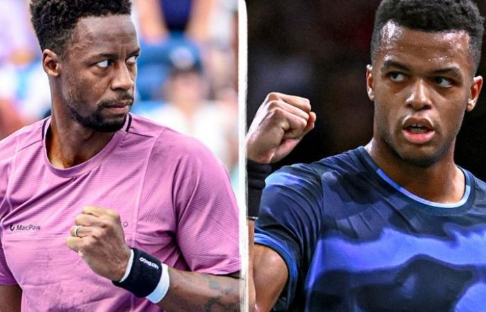 Tennis. Australian Open – Monfils-Mpetshi, Medvedev and 2 Blues on the program this Tuesday