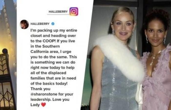 Celebrities help wildfire victims, donate to relief organizations in LA